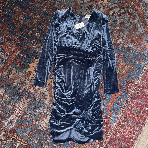 Böhme Celine Velvet Dress NWT - Picture 5 of 6